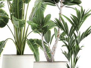 plants in a metal flowerpot for the interior 1083 3D 模型