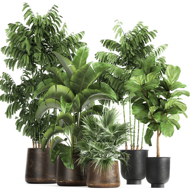 plants in a metal flowerpot for the interior 1084 3D Model .c4d .max .obj .3ds .fbx .stl .blend 