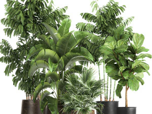 растения в металлическом вазоне для интерьера 1084 3D Модель