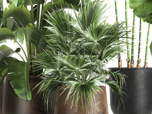 plants in a metal flowerpot for the interior 1084 3D Model