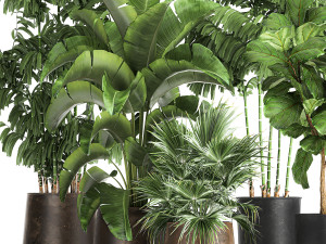 plants in a metal flowerpot for the interior 1084 3D Model