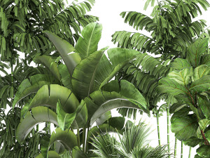plants in a metal flowerpot for the interior 1084 3D Model