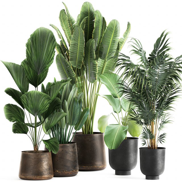 plants in a metal flowerpot for the interior 1085 3D-Modell .c4d .max .obj .3ds .fbx .stl .blend 