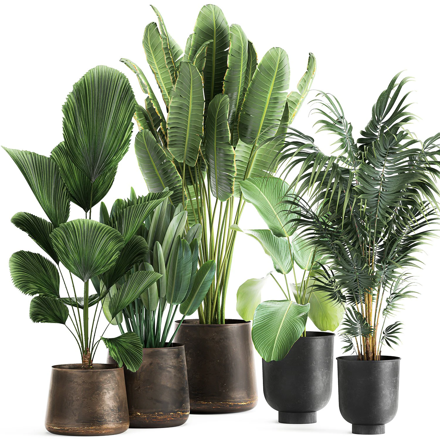 plants in a metal flowerpot for the interior 1085 3D Model .c4d .max .obj .3ds .fbx .stl .blend
