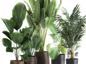 растения в металлическом вазоне для интерьера 1085 3D Модель