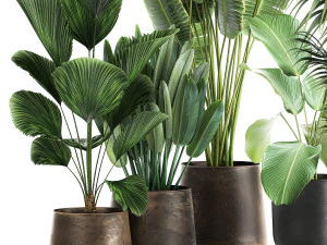 plants in a metal flowerpot for the interior 1085 3D Model