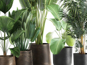 plants in a metal flowerpot for the interior 1085 3D Model