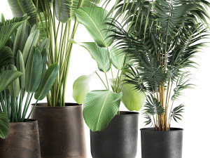 plants in a metal flowerpot for the interior 1085 3D-Modell