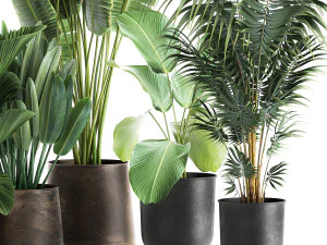 plants in a metal flowerpot for the interior 1085 3D Model
