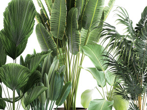 plants in a metal flowerpot for the interior 1085 3D-Modell