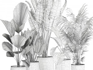 plants in a metal flowerpot for the interior 1085 3D-Modell