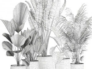plants in a metal flowerpot for the interior 1085 3D Model