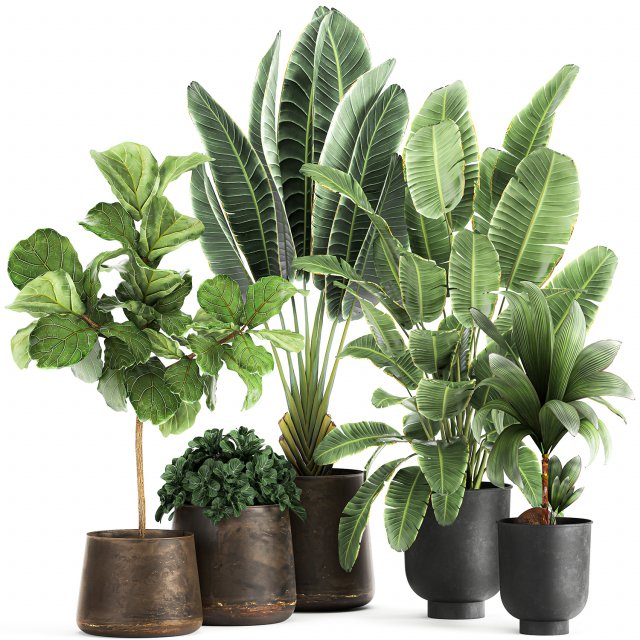 plants in a metal flowerpot for the interior 1086 Modelo 3D .c4d .max .obj .3ds .fbx .stl .blend 