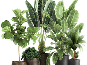 आंतरिक भाग के लिए धातु के फूलदान में पौधे 1086 3D मॉडल