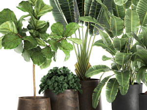 plants in a metal flowerpot for the interior 1086 Modelo 3D