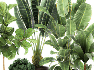 plants in a metal flowerpot for the interior 1086 Modelo 3D