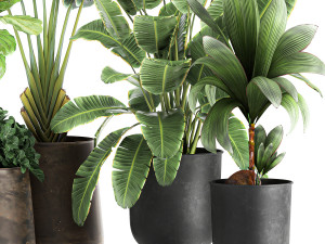 plants in a metal flowerpot for the interior 1086 Modelo 3D