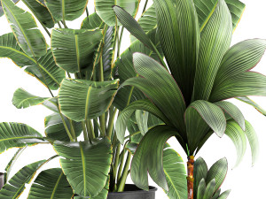 plants in a metal flowerpot for the interior 1086 Modelo 3D