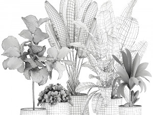 plants in a metal flowerpot for the interior 1086 Modelo 3D