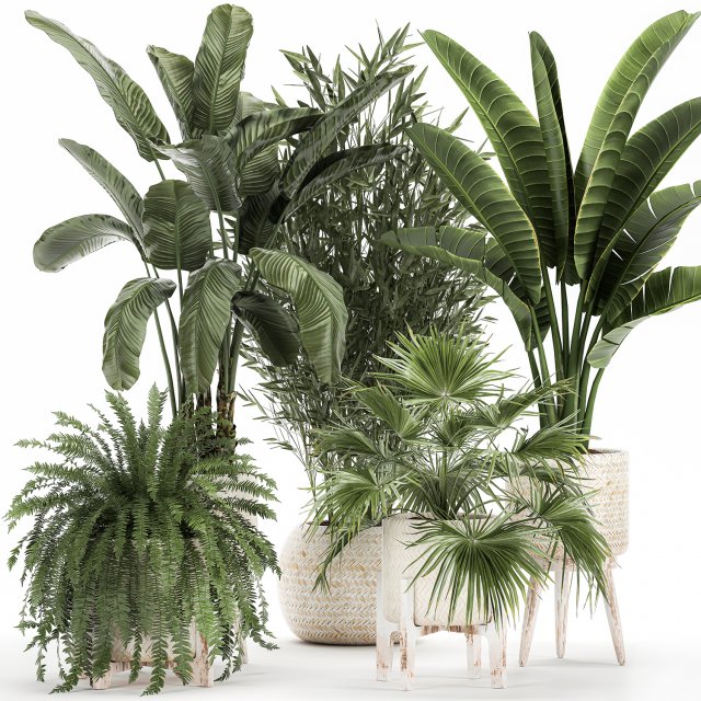 ornamental plants in rattan baskets 1086 3D Модель .c4d .max .obj .3ds .fbx .stl .blend 