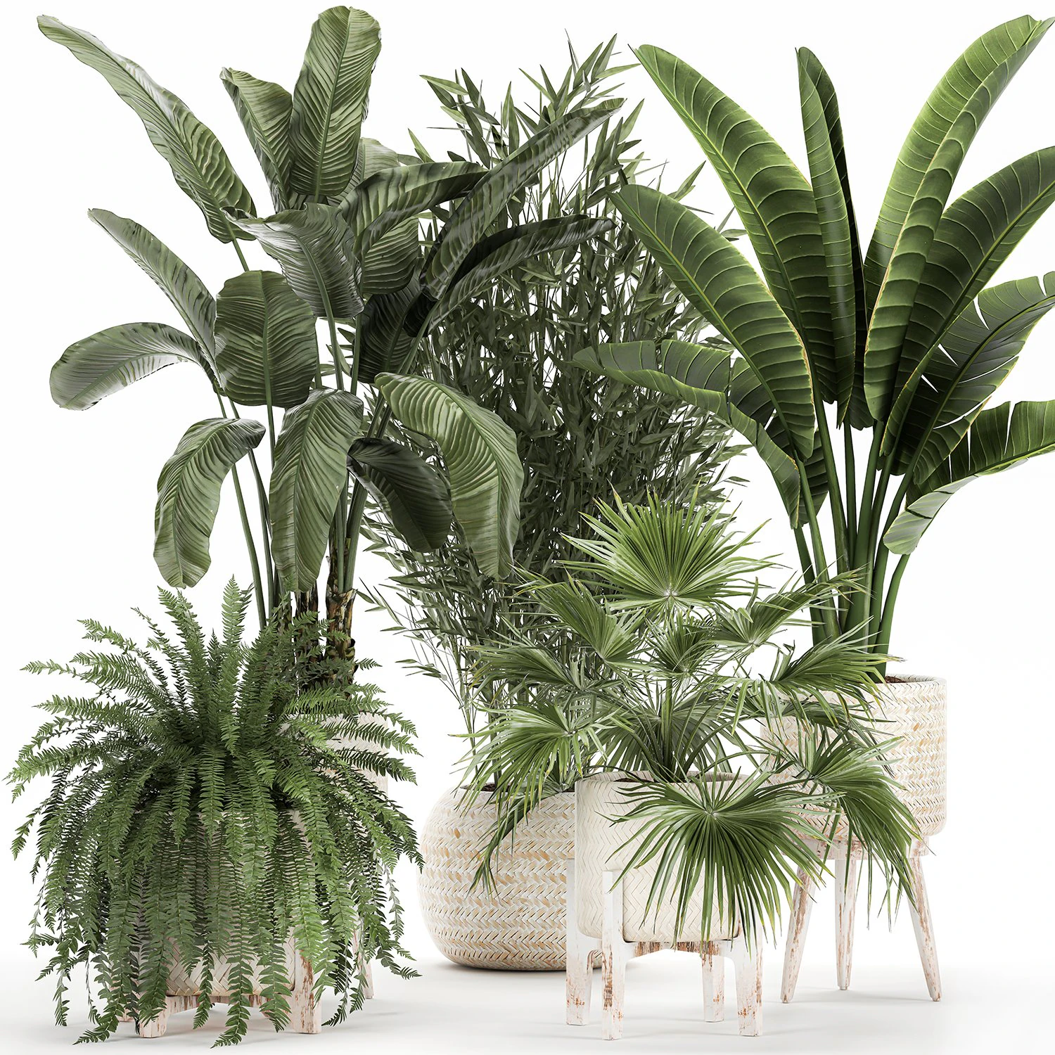 ornamental plants in rattan baskets 1086 3D Model .c4d .max .obj .3ds .fbx .stl .blend 