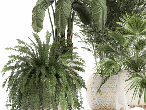 ornamental plants in rattan baskets 1086 3D Модель
