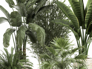 ornamental plants in rattan baskets 1086 3D Модель