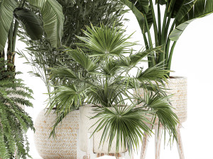 ornamental plants in rattan baskets 1086 3D Модель