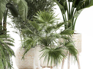 ornamental plants in rattan baskets 1086 3D Model