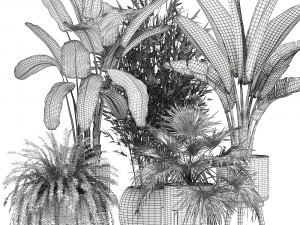 ornamental plants in rattan baskets 1086 3D Модель