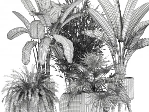 ornamental plants in rattan baskets 1086 3D Model