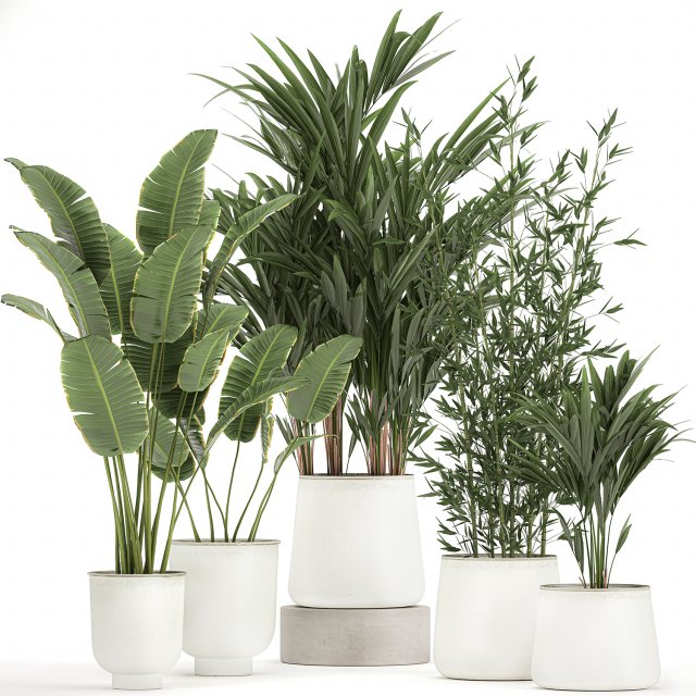 plants in a metal flowerpot for the interior 1087 3Dモデル .c4d .max .obj .3ds .fbx .stl .blend 