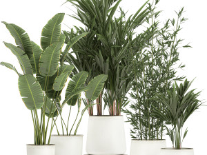 plants in a metal flowerpot for the interior 1087 3D 모델