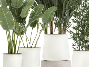 plants in a metal flowerpot for the interior 1087 3Dモデル