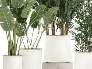 plants in a metal flowerpot for the interior 1087 3D Model