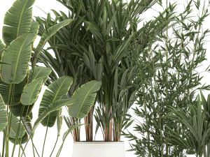 plants in a metal flowerpot for the interior 1087 3D Model