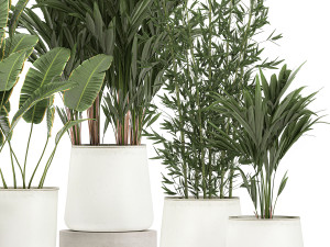 plants in a metal flowerpot for the interior 1087 3Dモデル