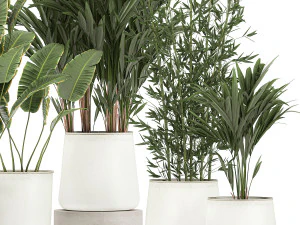 plants in a metal flowerpot for the interior 1087 3D Model