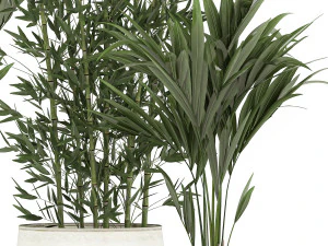 plants in a metal flowerpot for the interior 1087 3D Model