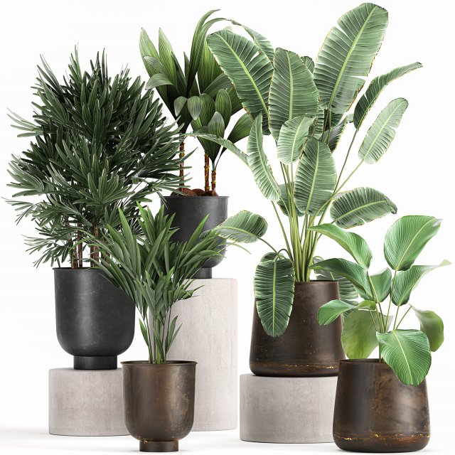 plants in a metal flowerpot for the interior 1088 Model 3D .c4d .max .obj .3ds .fbx .stl .blend 