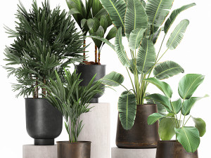 plants in a metal flowerpot for the interior 1088 Modelo 3D