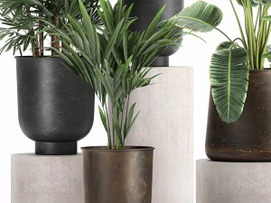 plants in a metal flowerpot for the interior 1088 3D Model