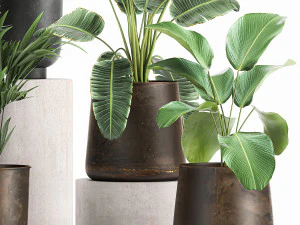 plants in a metal flowerpot for the interior 1088 3D Model