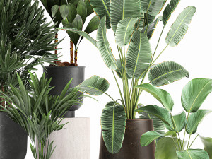 plants in a metal flowerpot for the interior 1088 Model 3D