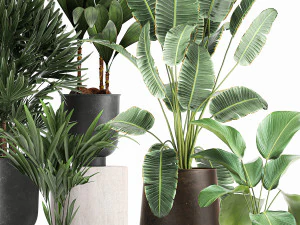 plants in a metal flowerpot for the interior 1088 3D Model