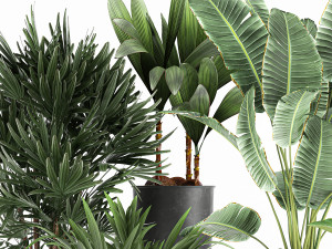 plants in a metal flowerpot for the interior 1088 Model 3D