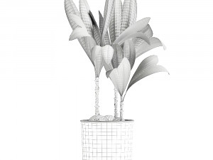 cocos nucifera in a metal flowerpot 1089 Modelo 3D
