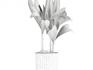 cocos nucifera in a metal flowerpot 1089 3D Model