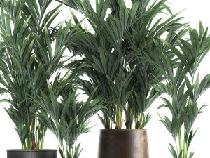 collection of decorative palms in pots 1090 Modèle 3D