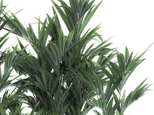 collection of decorative palms in pots 1090 Modèle 3D
